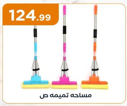 مساعد التنظيف available at المحلاوي ستورز in Egypt - القاهرة