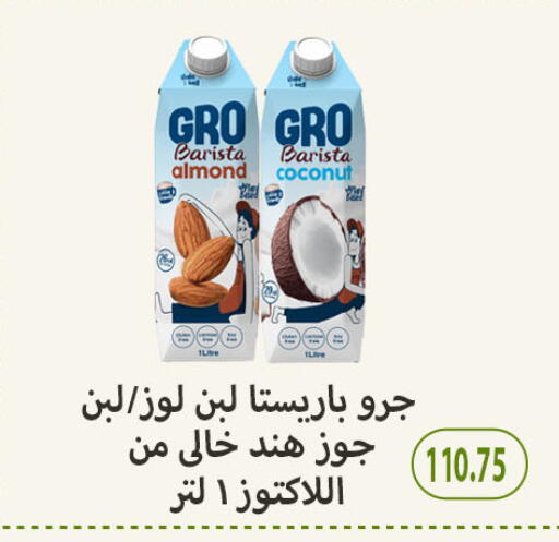 لبن available at هايبر سامي سلامة وأولاده in Egypt - القاهرة