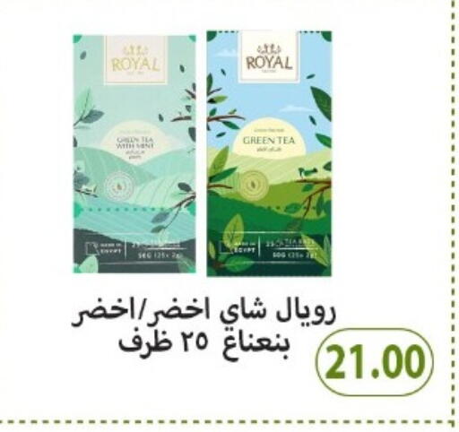 Green Tea Bag available at Hyper Samy Salama Sons in Egypt - Cairo