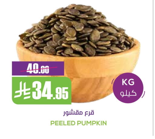 Pumpkin available at سبت in مملكة العربية السعودية, السعودية, سعودية - بريدة