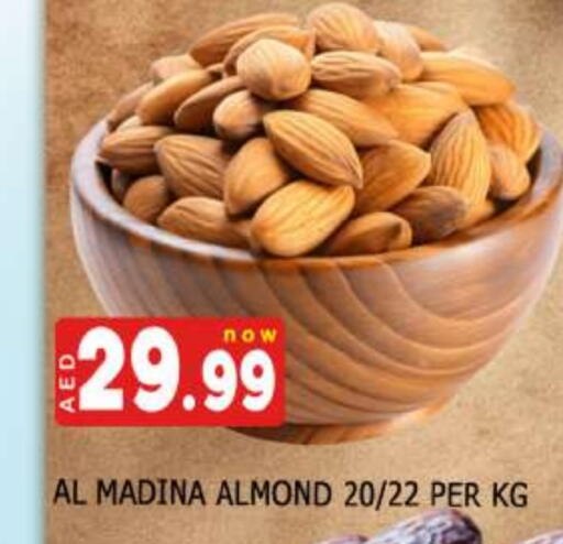 available at المدينة in الإمارات العربية المتحدة , الامارات - دبي