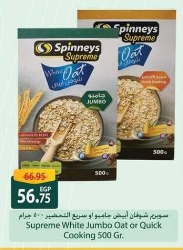 Oats available at Spinneys  in Egypt - Cairo