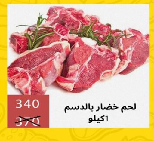 available at هايبر سامي سلامة وأولاده in Egypt - القاهرة