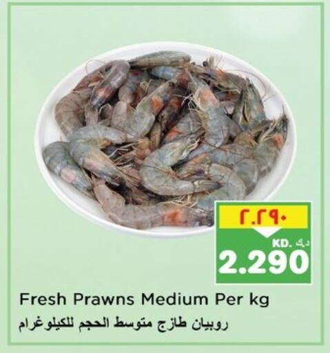 available at نستو هايبر ماركت in الكويت - محافظة الأحمدي