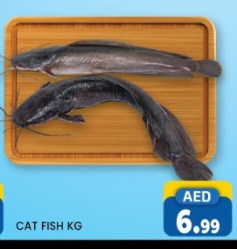 available at LIYAKKAS HYPERMARKET LLC in UAE - Abu Dhabi