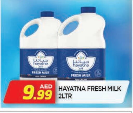 HAYATNA Fresh Milk available at AL MADINA in UAE - Sharjah / Ajman