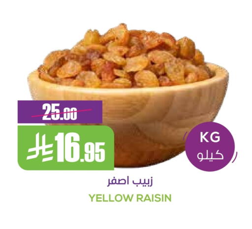 available at سبت in مملكة العربية السعودية, السعودية, سعودية - بريدة