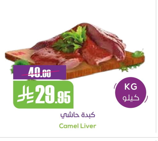 لحم حاشي available at سبت in مملكة العربية السعودية, السعودية, سعودية - بريدة