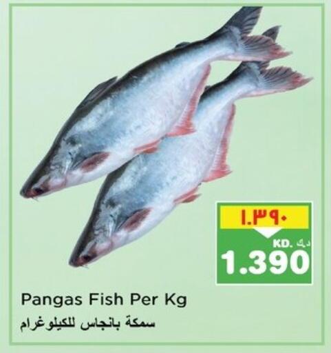 available at نستو هايبر ماركت in الكويت - محافظة الأحمدي