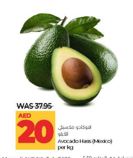 Avacado from Mexico available at Lulu Hypermarket in UAE - Al Ain