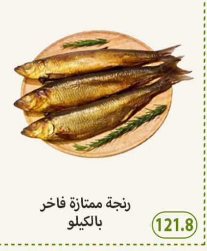 available at هايبر سامي سلامة وأولاده in Egypt - القاهرة