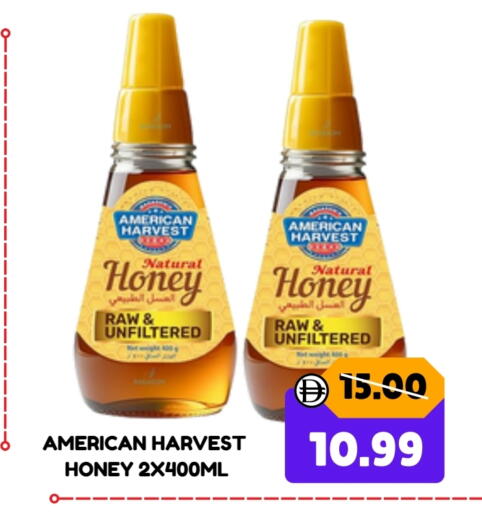 AMERICAN HARVEST Honey available at ROYAL GULF HYPERMARKET LLC in UAE - Abu Dhabi