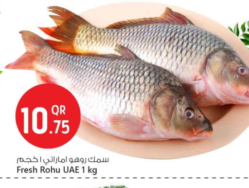 available at سفاري هايبر ماركت in قطر - الوكرة