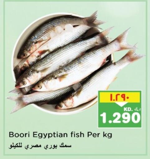 available at نستو هايبر ماركت in الكويت - محافظة الأحمدي