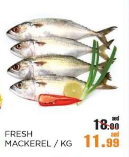 available at OK Hypermarket LLC SPC in UAE - Abu Dhabi