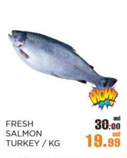 available at OK Hypermarket LLC SPC in UAE - Abu Dhabi