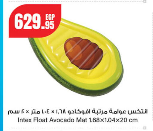 Avocado available at Géant Egypt in Egypt - Cairo