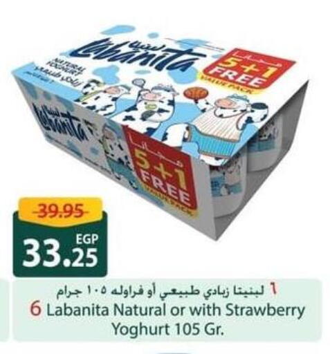 زبادي available at سبينس in Egypt - القاهرة