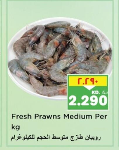 available at نستو هايبر ماركت in الكويت - محافظة الأحمدي