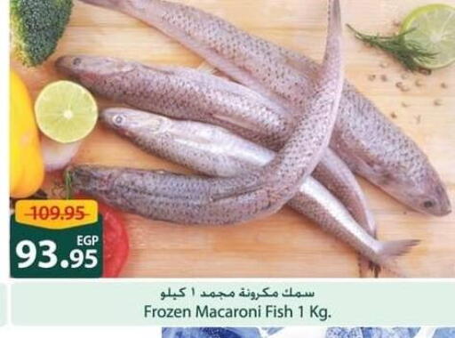 available at سبينس in Egypt - القاهرة