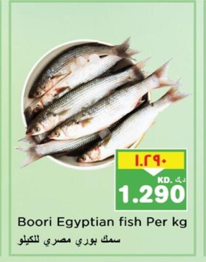 available at نستو هايبر ماركت in الكويت - محافظة الأحمدي