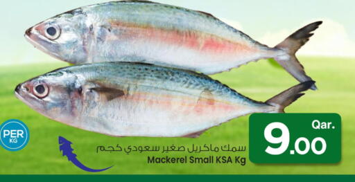 available at مارك & سيف in قطر - الوكرة