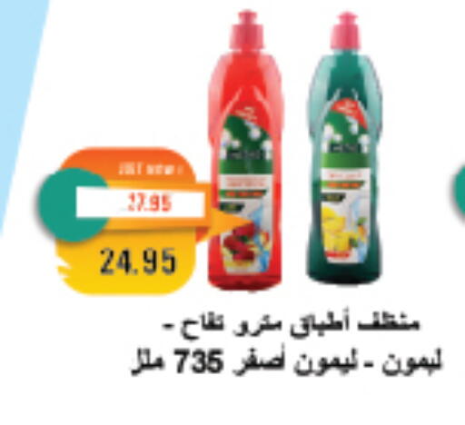 تنظيف in مترو ماركت, Egypt Offers - Egypt منظف عام available at مترو ماركت in Egypt - القاهرة