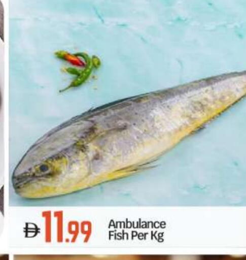 available at BIGmart in UAE - Abu Dhabi