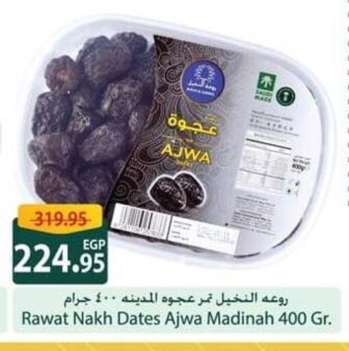 available at سبينس in Egypt - القاهرة