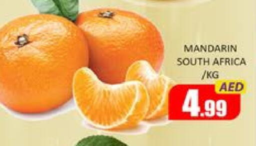 Orange from South Africa available at Mango Hypermarket LLC in UAE - Dubai