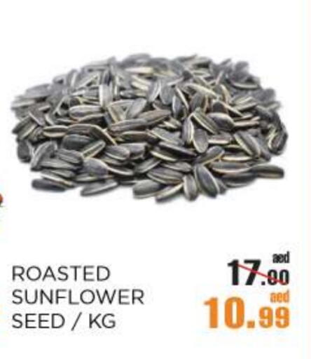 available at OK Hypermarket LLC SPC in UAE - Abu Dhabi