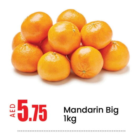 Orange available at Mango Hypermarket LLC in UAE - Dubai