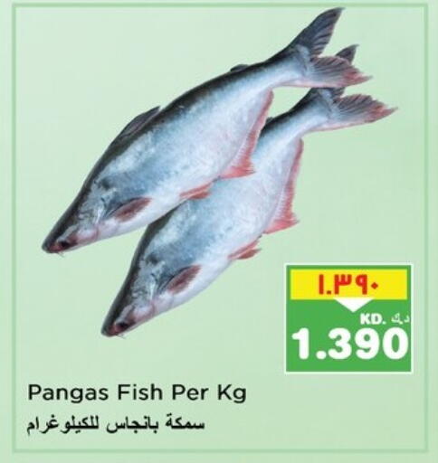 available at نستو هايبر ماركت in الكويت - محافظة الأحمدي