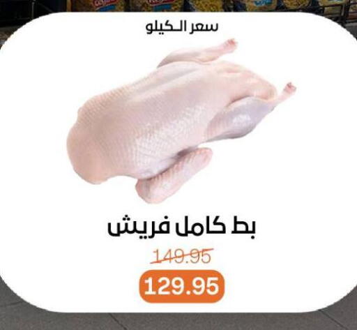 available at بيت الجملة in Egypt - القاهرة
