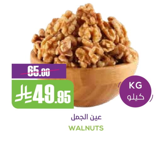 available at Sapt in KSA, Saudi Arabia, Saudi - Buraidah