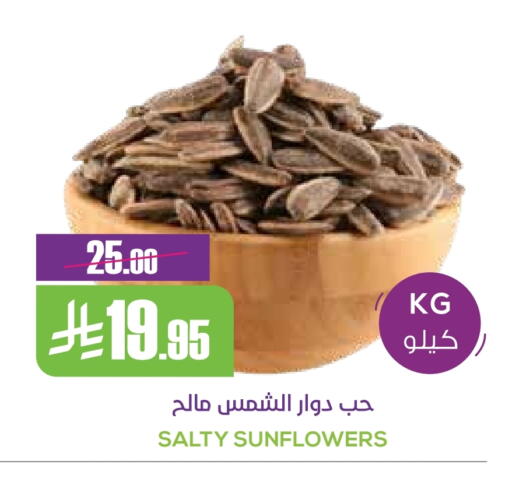 available at سبت in مملكة العربية السعودية, السعودية, سعودية - بريدة