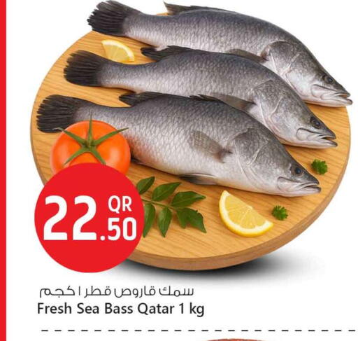 available at Safari Hypermarket in Qatar - Al Daayen