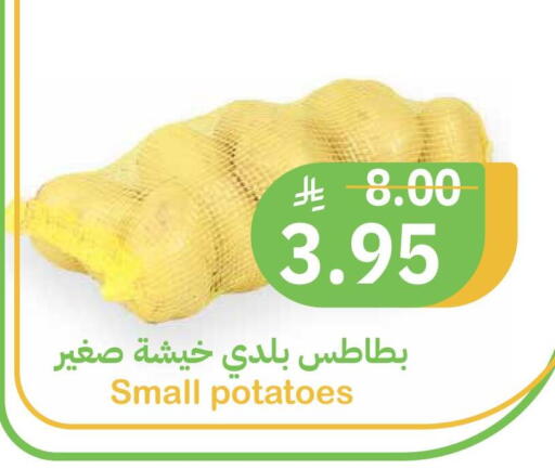 available at أسواق قاطبة in مملكة العربية السعودية, السعودية, سعودية - بريدة