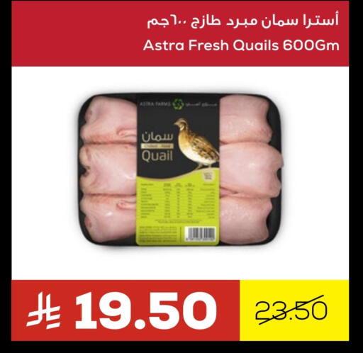Quail available at Astra Markets in KSA, Saudi Arabia, Saudi - Tabuk
