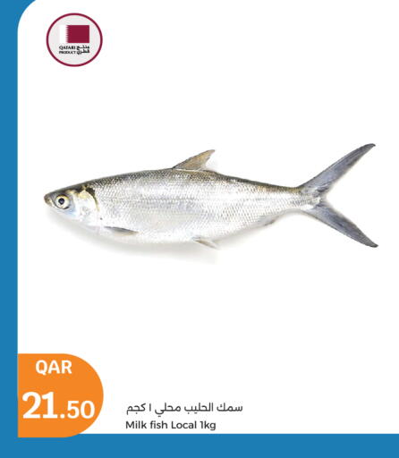 available at City Hypermarket in Qatar - Doha