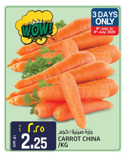جزر from China available at السعودية in قطر - الشمال