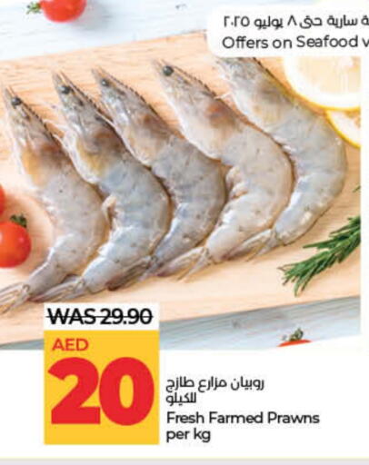 available at Lulu Hypermarket in UAE - Dubai