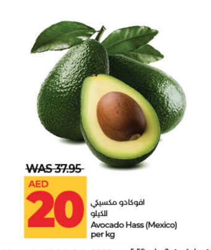 Avocado from Mexico available at Lulu Hypermarket in UAE - Dubai