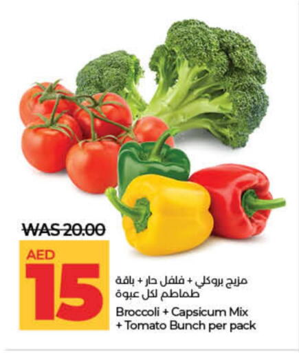 فلفل / فليفلة available at لولو هايبرماركت in الإمارات العربية المتحدة , الامارات - دبي