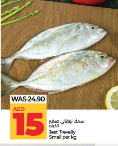 available at Lulu Hypermarket in UAE - Dubai