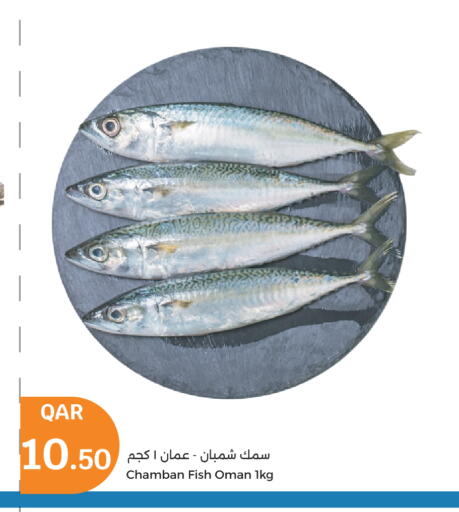 available at City Hypermarket in Qatar - Doha