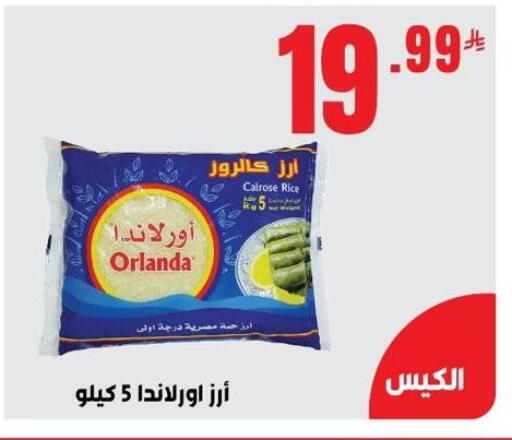 Orlanda Calrose Rice available at Bin Afif Bazaar in KSA, Saudi Arabia, Saudi - Dammam