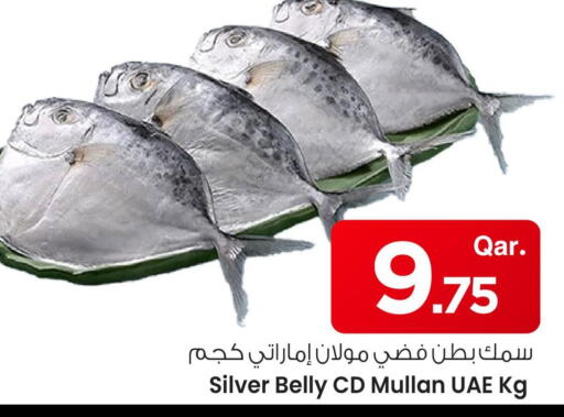 available at مارك & سيف in قطر - الوكرة