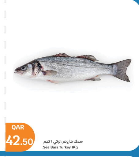 available at City Hypermarket in Qatar - Doha