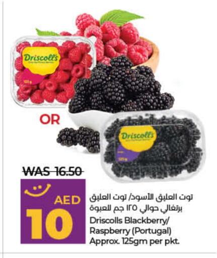 فاكهة طازجة in لولو هايبرماركت, UAE Offers - الإمارات العربية المتحدة Blackberry Raspberry from Portugal available at لولو هايبرماركت in الإمارات العربية المتحدة , الامارات - دبي